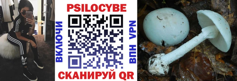 Галлюциногенные грибы Psilocybine cubensis  Николаевск 